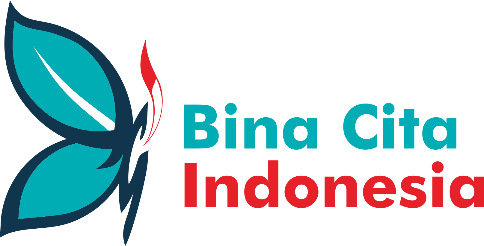 logo bci big